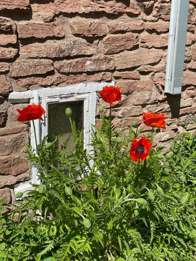 Rosenfors Herrgard B&B Borgholm Esterno foto